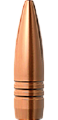 Barnes .50 BMG TSX Bullet